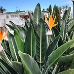 & Peaceful Garden - 1 Bed With Swimming Pool Apartamento Puerto de la Cruz (Tenerife)